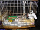 IMG_006.jpg