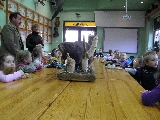 IMG_003.jpg