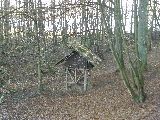 IMG_017.jpg