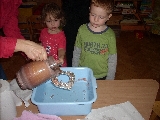 IMG_006.jpg