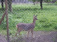 IMG_004.jpg