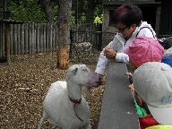 IMG_007.jpg