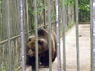 IMG_016.jpg