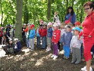 IMG_006.jpg
