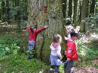 IMG_014.jpg