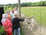 IMG_005.jpg