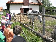 IMG_010.jpg