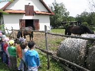 IMG_011.jpg