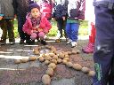 IMG_001.jpg