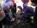 IMG_005.jpg