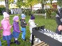 IMG_015.jpg