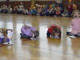 IMG_017.jpg