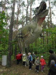 IMG_011.jpg