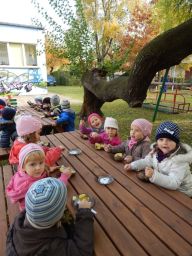 IMG_019.jpg