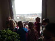 IMG_029.jpg