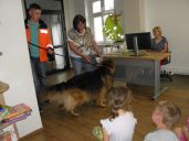 IMG_007.jpg
