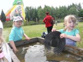 IMG_035.jpg