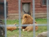 IMG_058.jpg