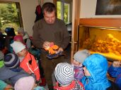 IMG_037.jpg