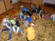 IMG_010.jpg