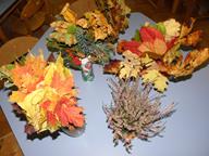 IMG_015.jpg