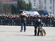 IMG_017.jpg
