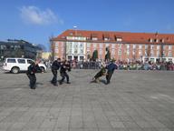 IMG_019.jpg