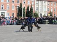IMG_022.jpg