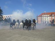 IMG_006.jpg