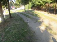 IMG_019.jpg