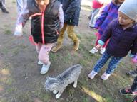 IMG_005.jpg