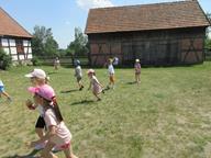 IMG_006.jpg