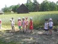 IMG_007.jpg