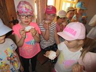IMG_012.jpg