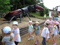 IMG_016.jpg