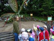 IMG_017.jpg