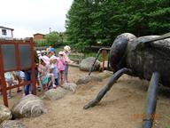 IMG_011.jpg