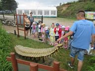IMG_018.jpg