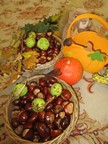 IMG_026.jpg