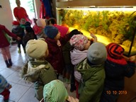IMG_006.jpg