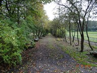 IMG_008.jpg