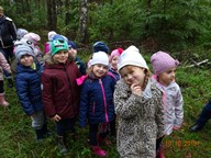 IMG_013.jpg