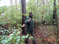IMG_018.jpg