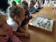 IMG_020.jpg