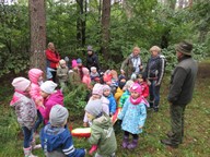 IMG_033.jpg