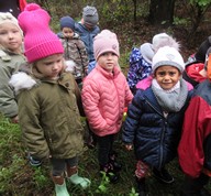 IMG_034.jpg