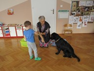 IMG_005.jpg