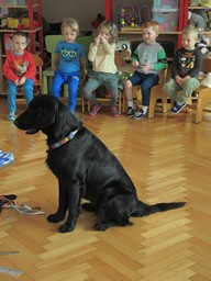 IMG_009.jpg