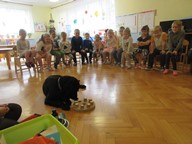 IMG_031.jpg