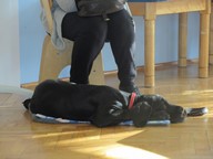 IMG_044.jpg